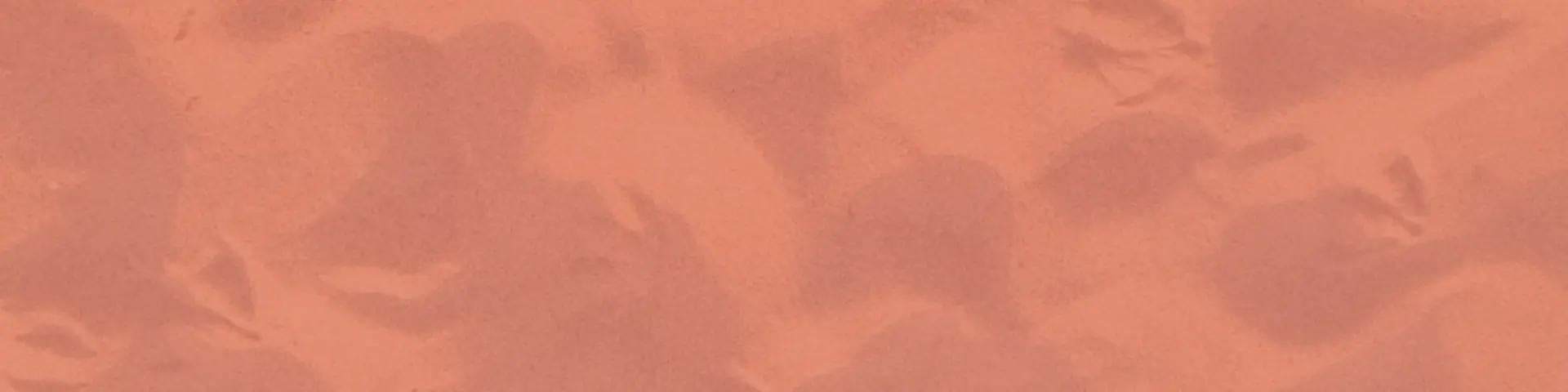 Encontramos qué hace latir a tu marca